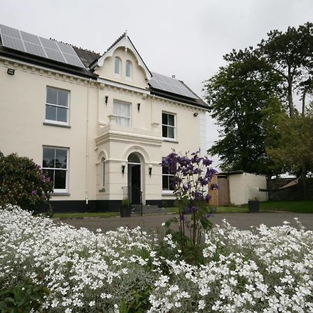 Caemorgan Mansion Hotell Cardigan Exteriör bild